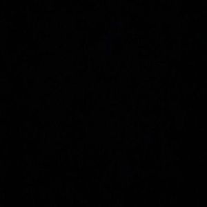 Meet your Posher, Alaina